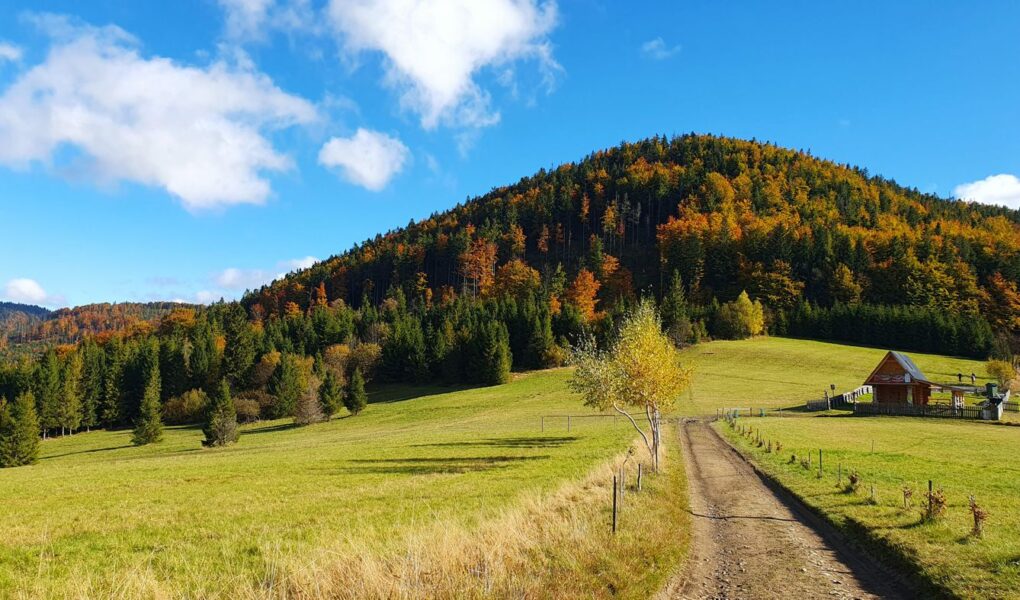 Przełęcz Przegibek w Beskidzie Żywieckim