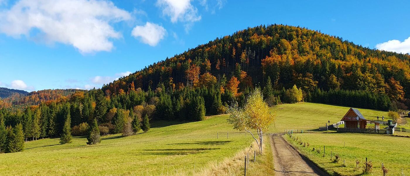 Przełęcz Przegibek w Beskidzie Żywieckim