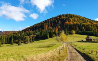 Przełęcz Przegibek w Beskidzie Żywieckim