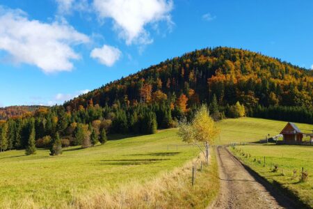 Przełęcz Przegibek w Beskidzie Żywieckim