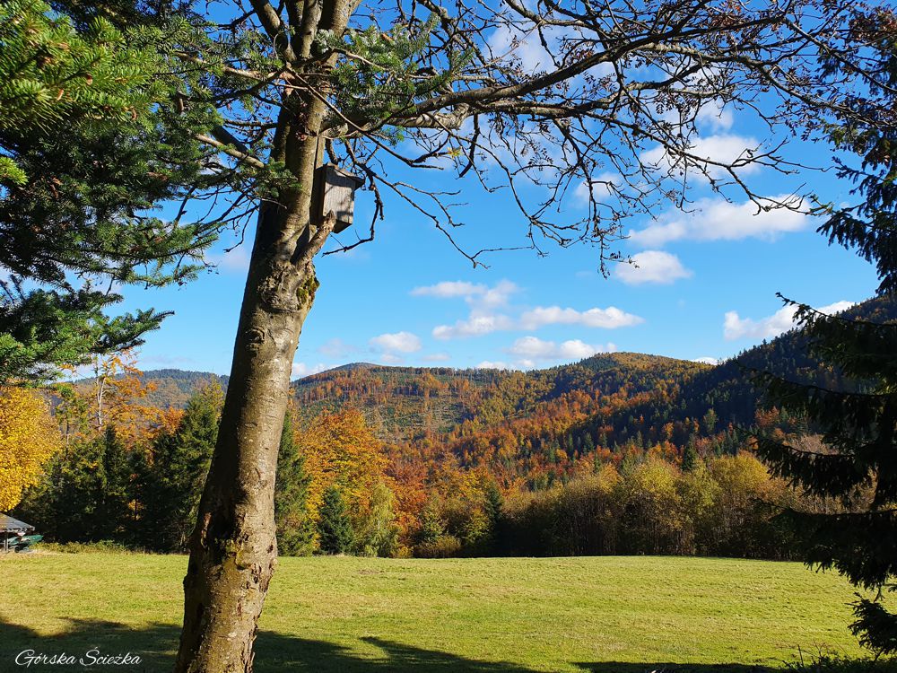 Teren przed Schroniskiem PTTK na Przegibku