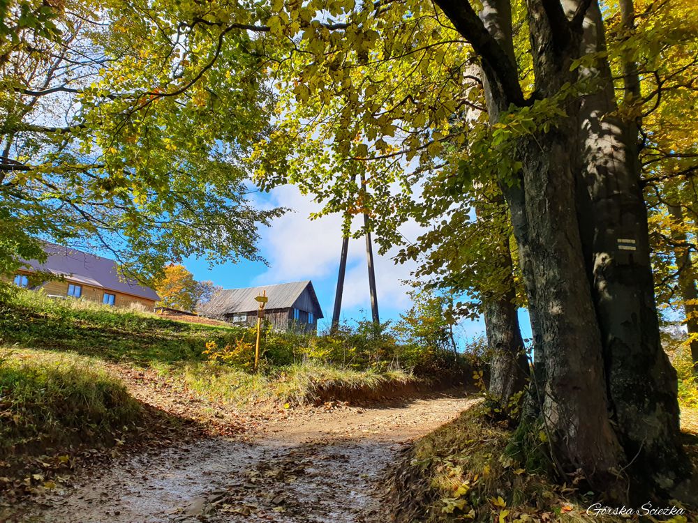 Przełęcz Przegibek w Beskidzie Żywieckim: Kierunkowskaz wskazujący ścieżkę do Kapliczki