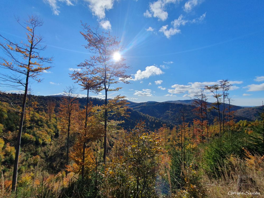 Przełęcz Przegibek w Beskidzie Żywieckim: Panorama podczas podejścia szlakiem zielonym
