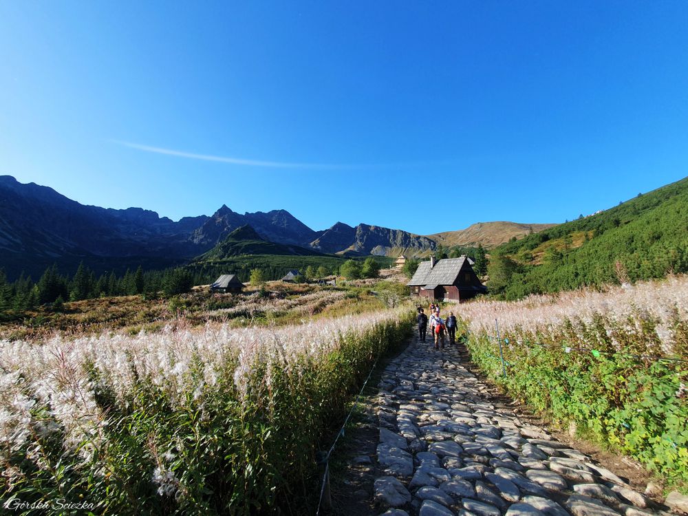 Zadni Granat: Hala Gąsienicowa