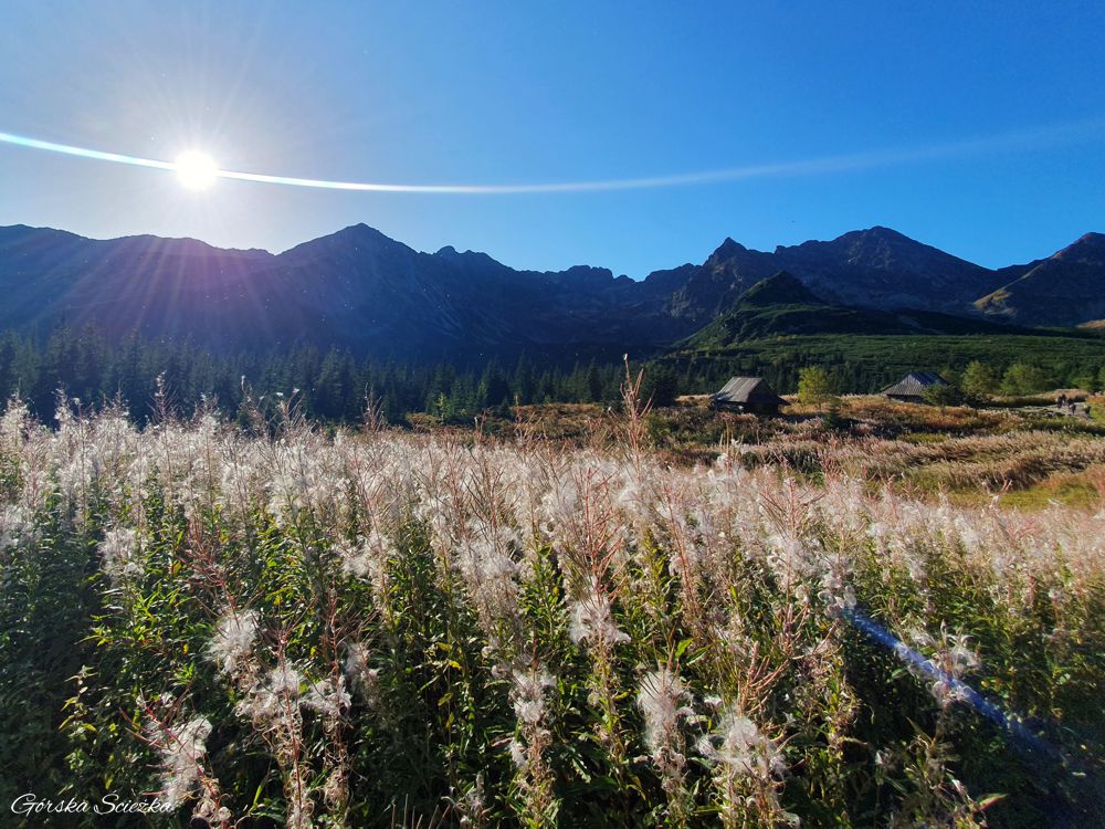 Zadni Granat: Hala Gąsienicowa