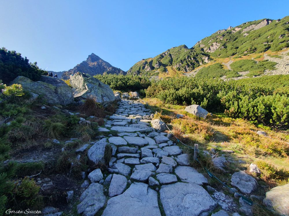 Zadni Granat: szlak niebieski do Czarnego Stawu Gąsienicowego