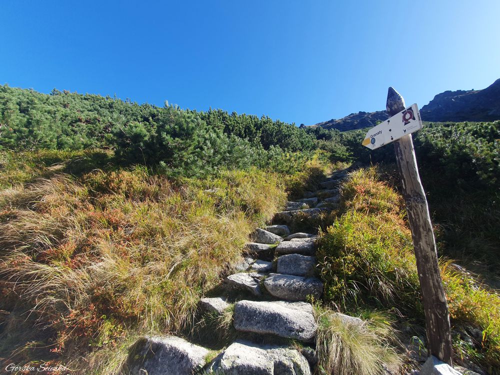Zadni Granat: Odejście szlaku na Skrajny Granat