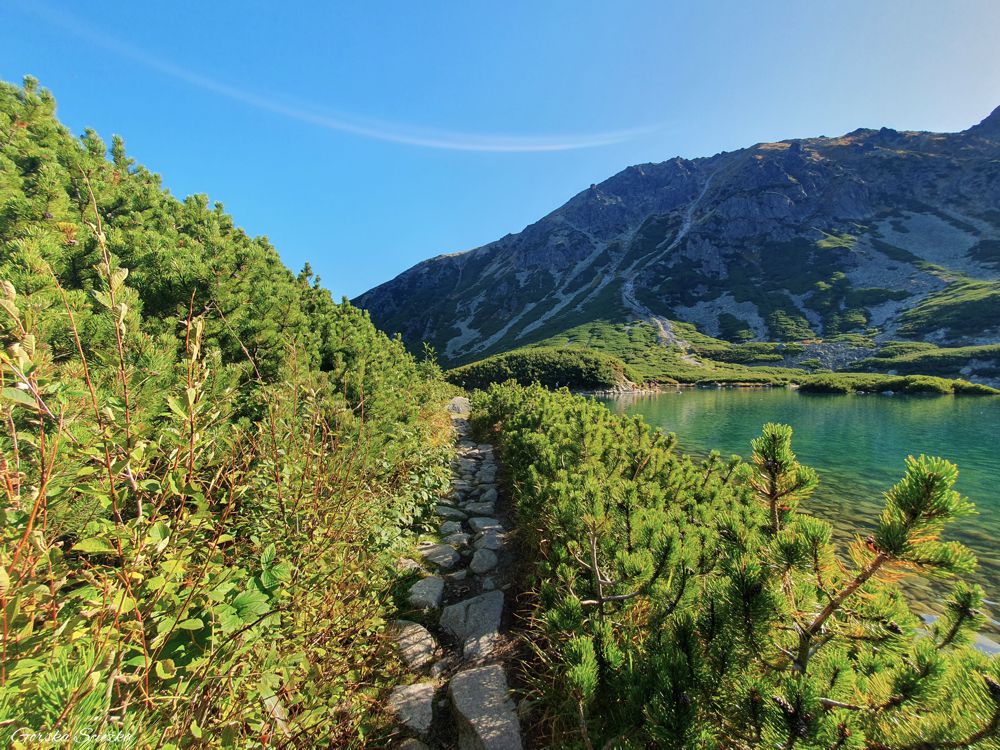 Zadni Granat: Szlak niebieski wokół Czarnego Stawu Gąsienicowego