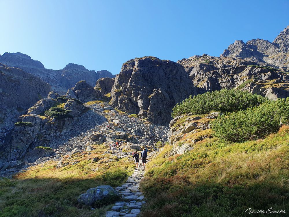 Zadni Granat: Fragment szlaku niebieskiego do Zmarzłego Stawu