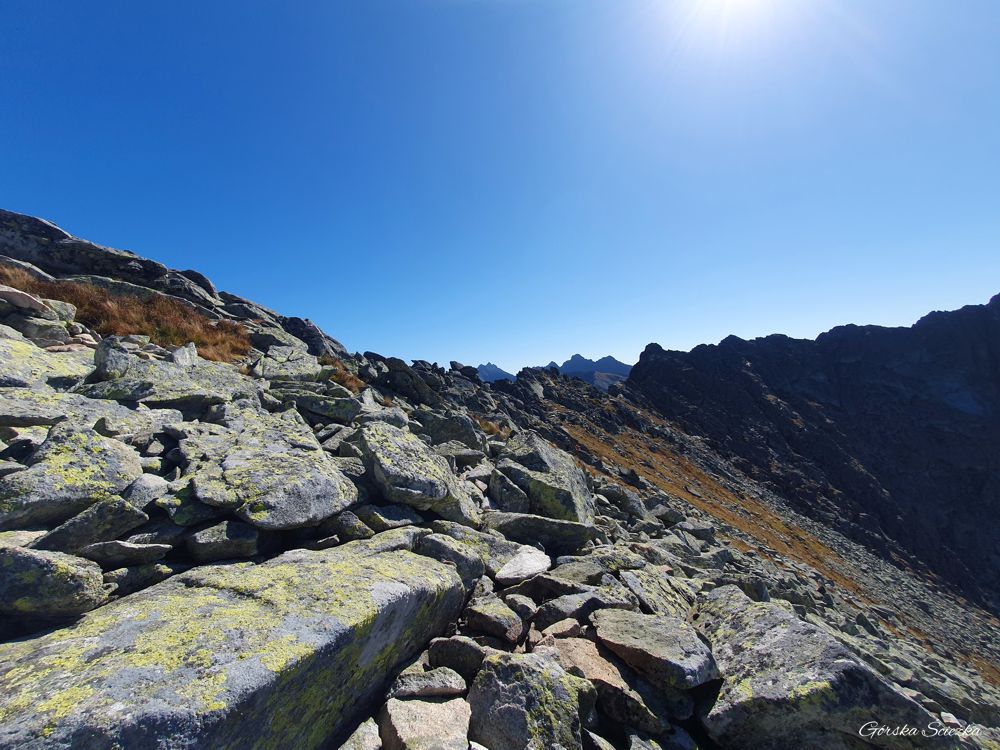 Zadni Granat: Końcowe podejście na szczyt Zadniego Granatu