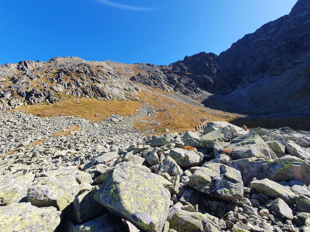 Zadni Granat: Podejście do Koziej Dolinki, w tle Orla Perć