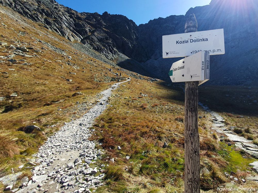 Zadni Granat: Kozia Dolinka