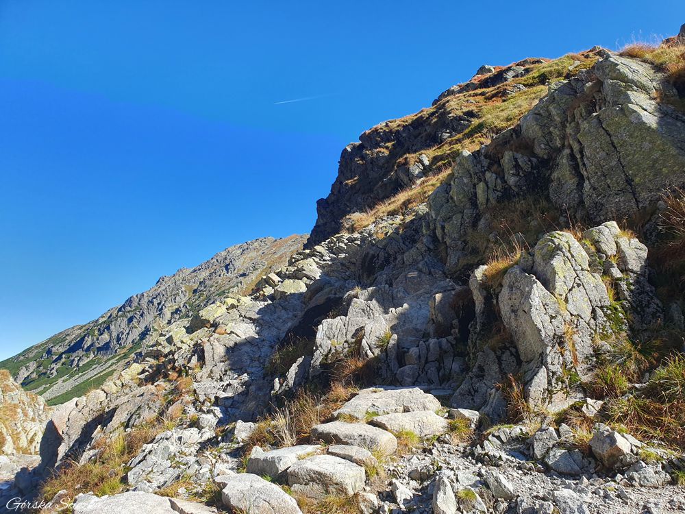 Zadni Granat: Podejście szlakiem żółtym do Koziej Dolinki