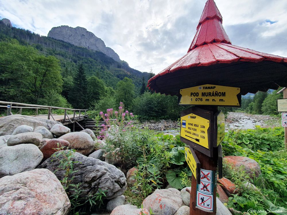 Polana Pod Muraniem: Pod Muraniem (rozwidlenie szlaków)