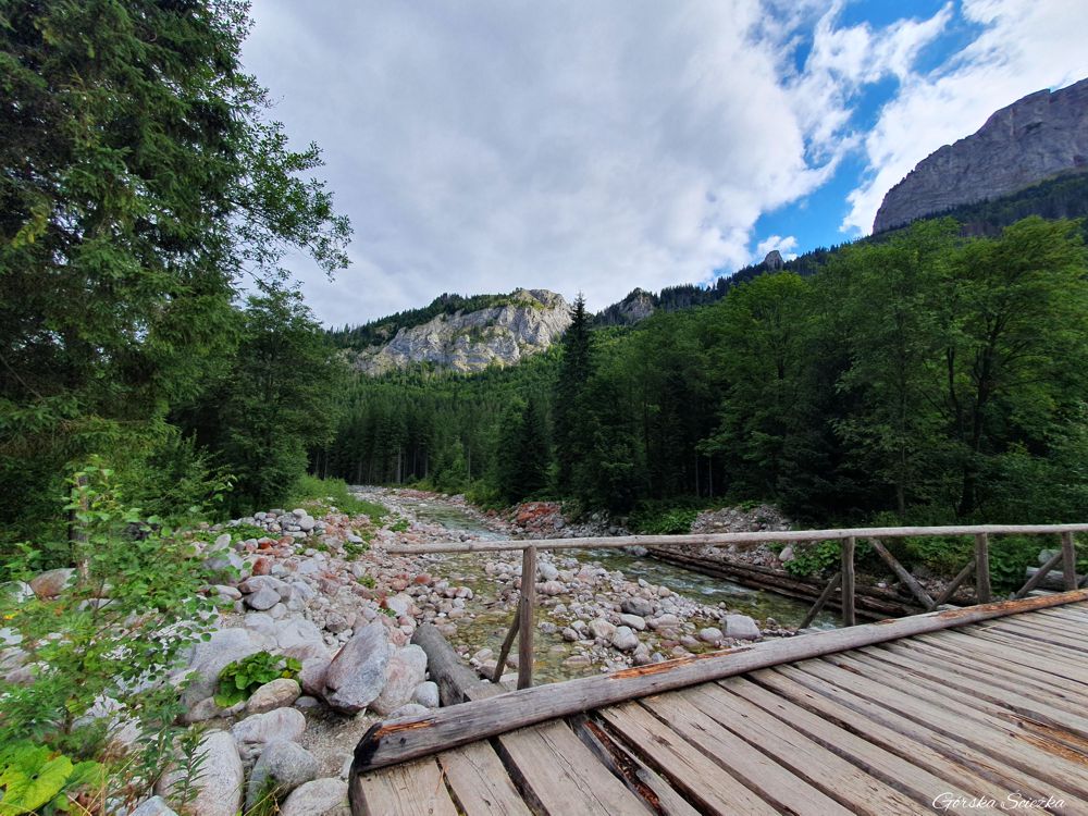 Polana pod Muraniem: Nad potokiem Javorinka