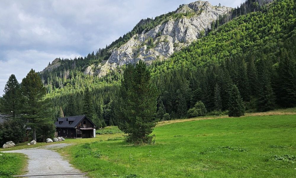 Polana pod Muraniem: Widok na masyw Murania