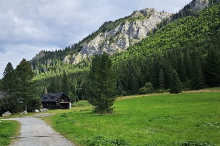 Polana pod Muraniem: Widok na masyw Murania