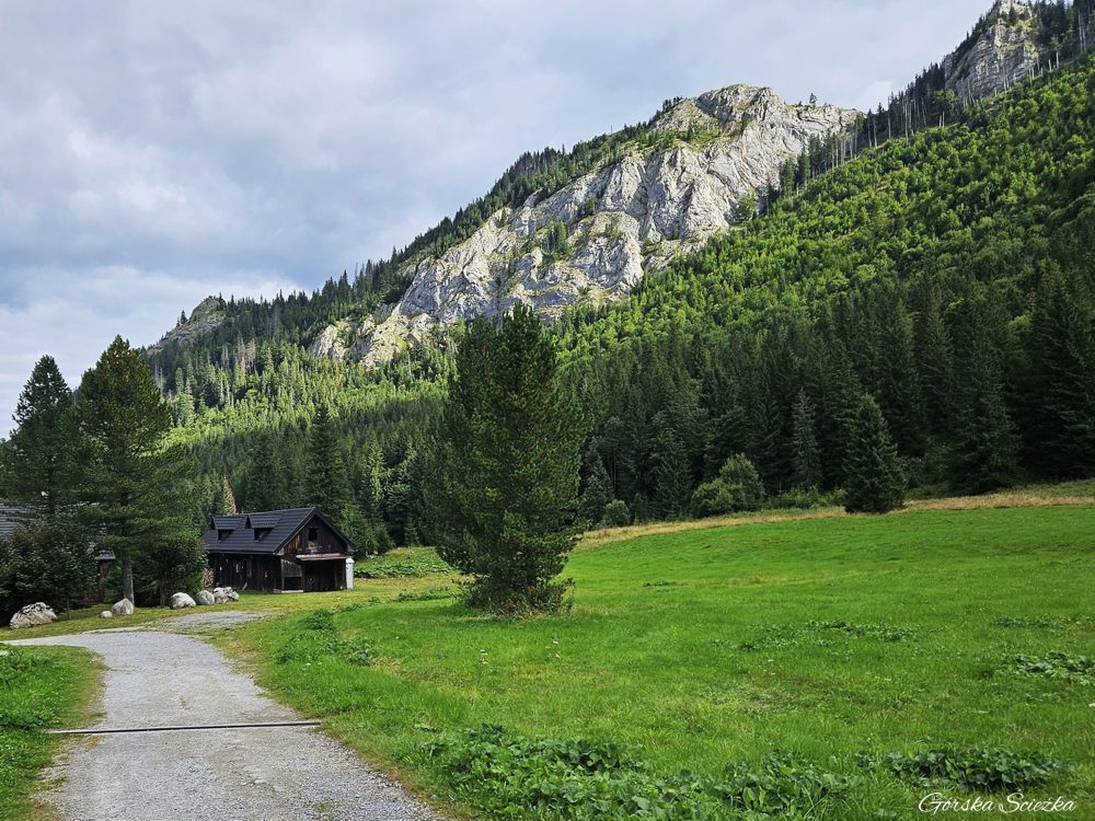 Polana pod Muraniem: Widok na masyw Murania