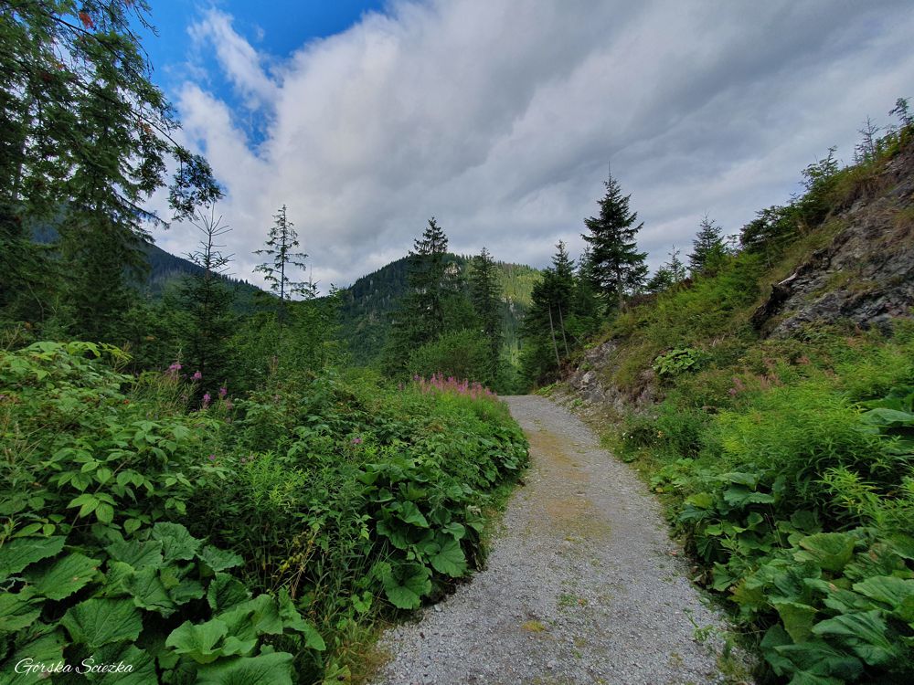 Przełęcz pod Kopą: Początek Doliny Zadnich Koperszadów