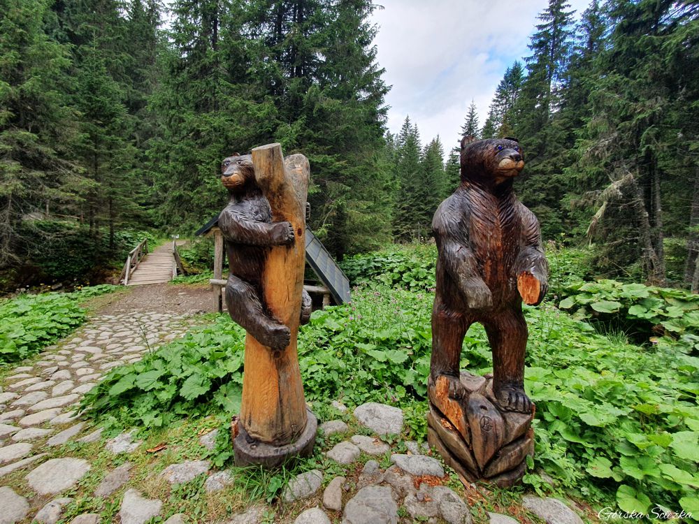 Przełęcz pod Kopą: Drewniane rzeźby niedźwiedzi