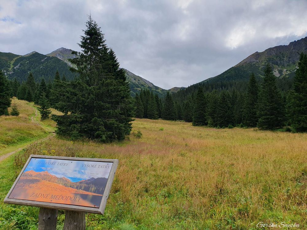 Przełęcz pod Kopą: Widok na Polanę