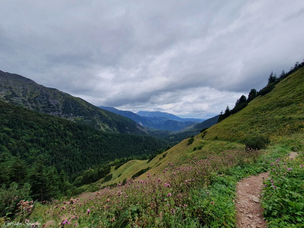 Przełęcz pod kopą: Fragment trasy na Przełęcz pod Kopą