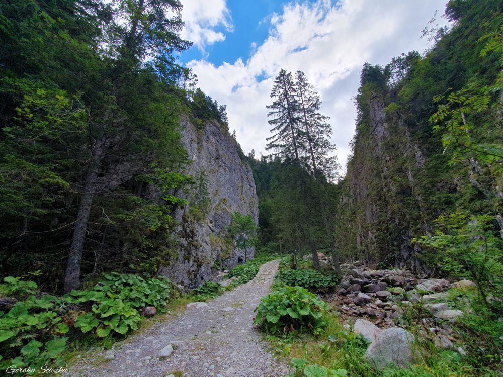 Przełęcz pod kopą: Koperszadzka Bramka (Bránka)