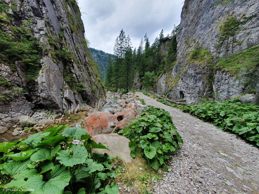 Przełęcz pod kopą: Przejście wąwozem