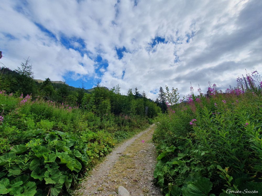 Przełęcz pod Kopą: Początek Doliny Zadnich Koperszadów