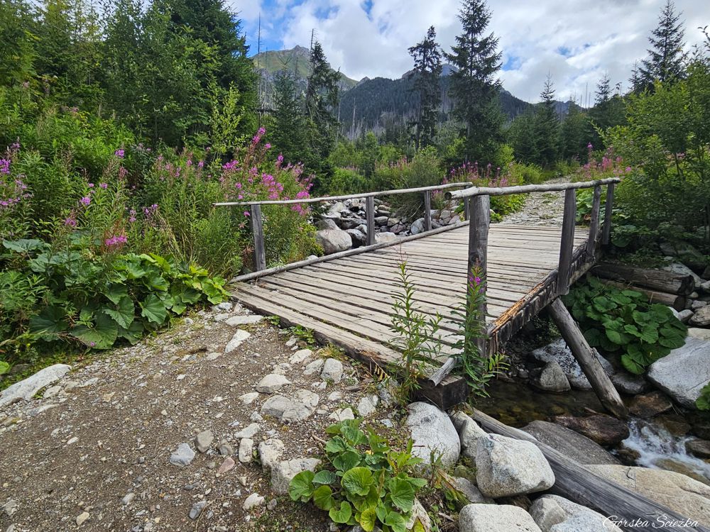Przełęcz pod Kopą: Drewniany mostek nad potokiem