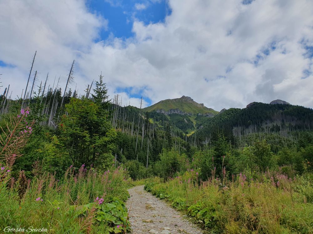 Przełęcz pod Kopą: Trasa dnem Doliny Zadnich Koperszadów