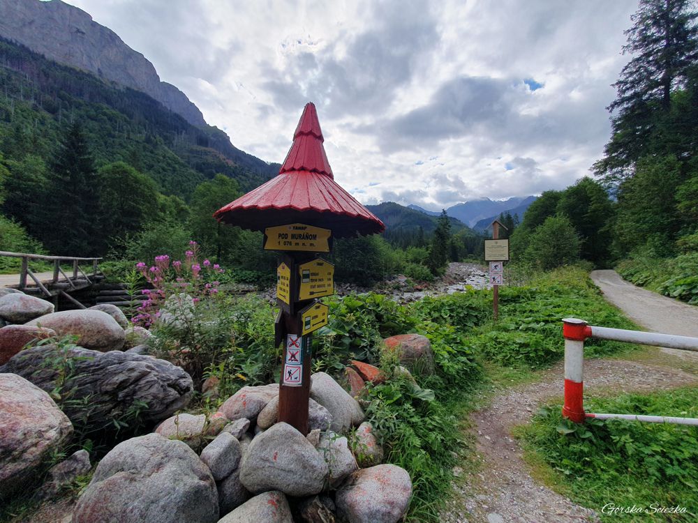 Przełęcz pod Kopą: Węzeł szlaków przed Polaną