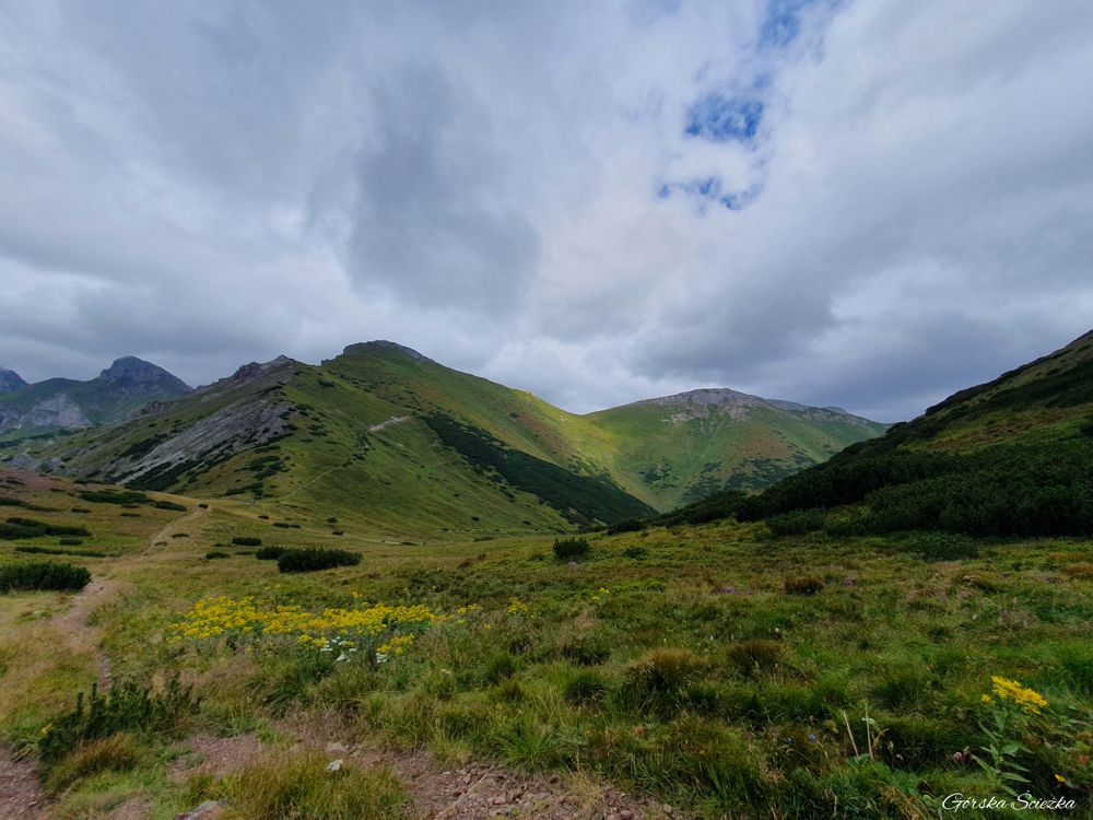 Przełęcz pod Kopą (Kopské sedlo): Widok na Tatry Bielskie z przełęczy