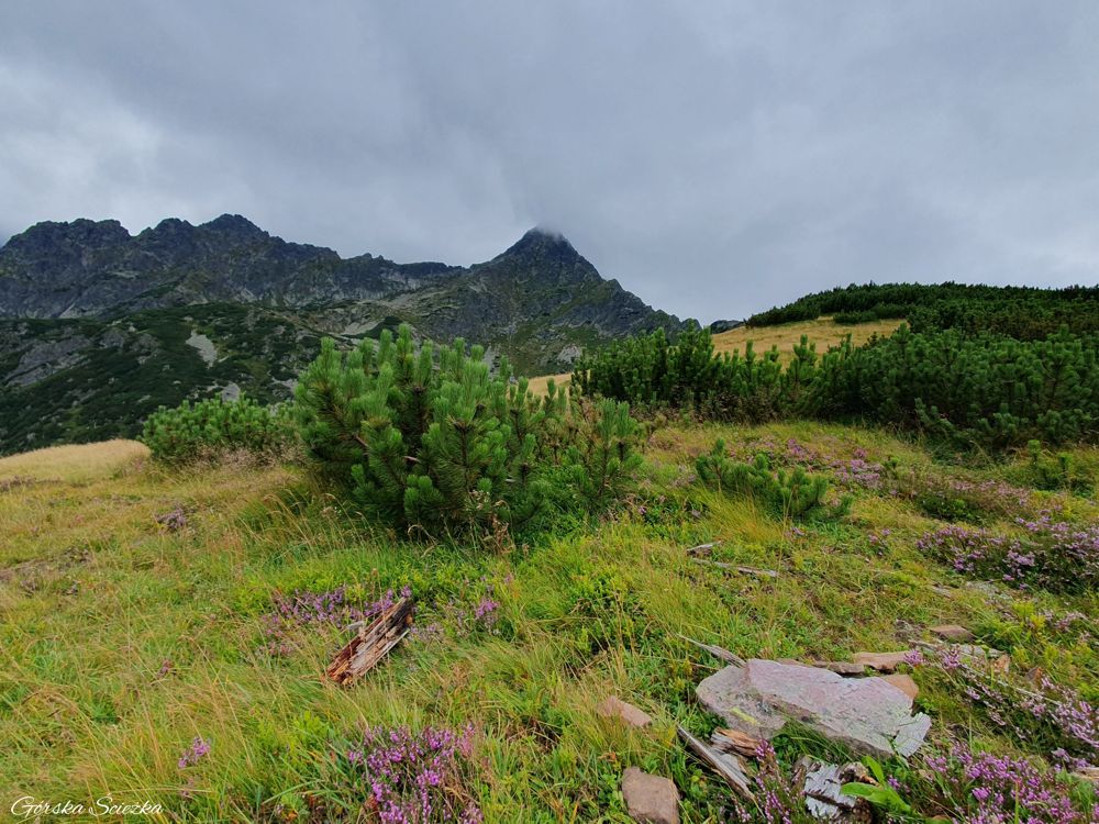 Przełęcz pod Kopą (Kopské sedlo): Widok z Przedniej Przełęczy pod Kopą