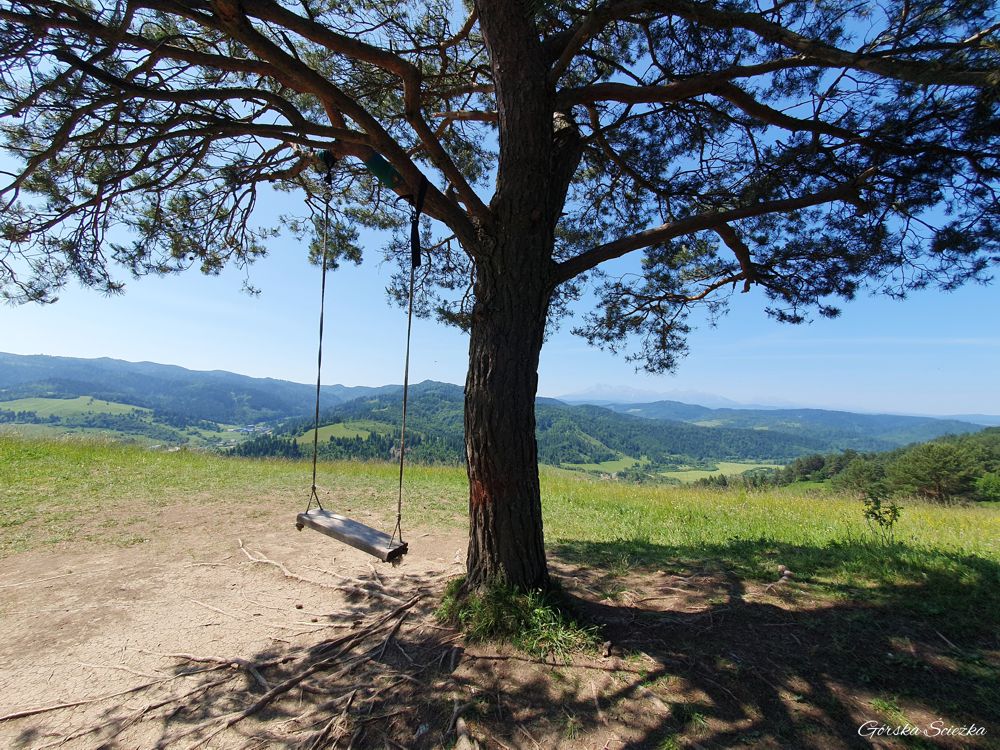 Wysoki Wierch z Przełęczy pod Tokarnią: Huśtawka powyżej przełęczy