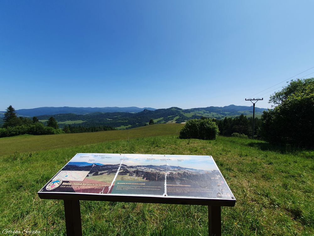 Wysoki Wierch z Przełęczy pod Tokarnią: Punkt widokowy ponad przełęczą