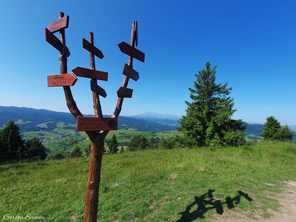 Wysoki Wierch z Przełęczy pod Tokarnią: Kierunkowskaz na Wysokim Wierchu
