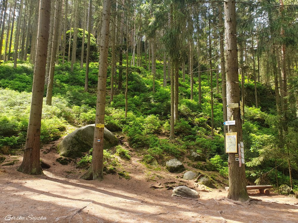 Adrspach i Teplickie Skały: Fragment szlaku żółtego