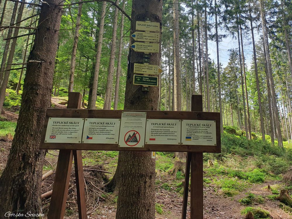 Adrspach i Teplickie Skały: Odejście szlaku żółtego do Adrspach
