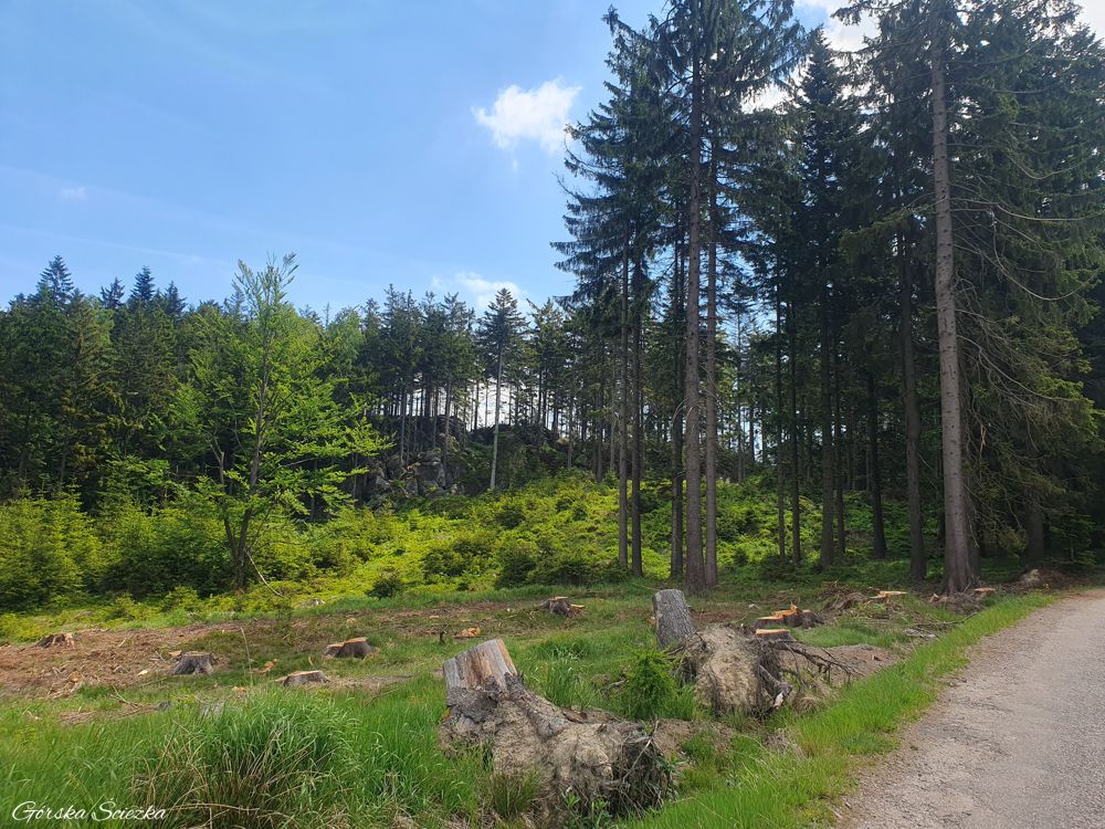 Broumowskie Ściany (Broumovske Steny): Fragment szlaku czerwonego