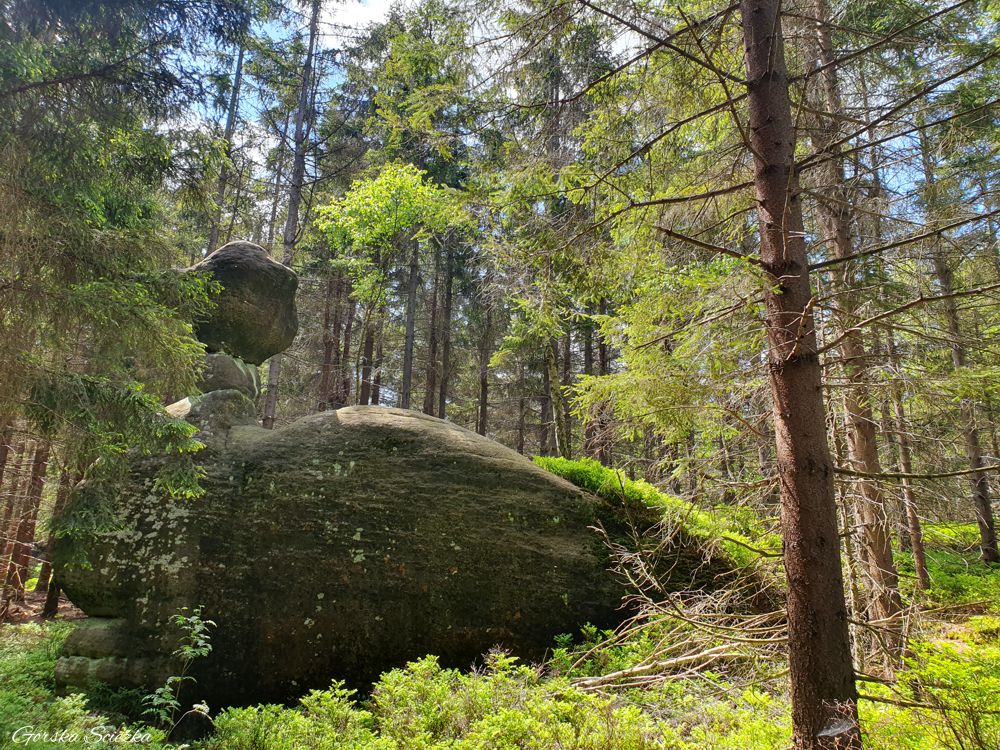 Broumowskie Ściany (Broumovske Steny): Formacja skalna Kaczuszka (Kacenka)