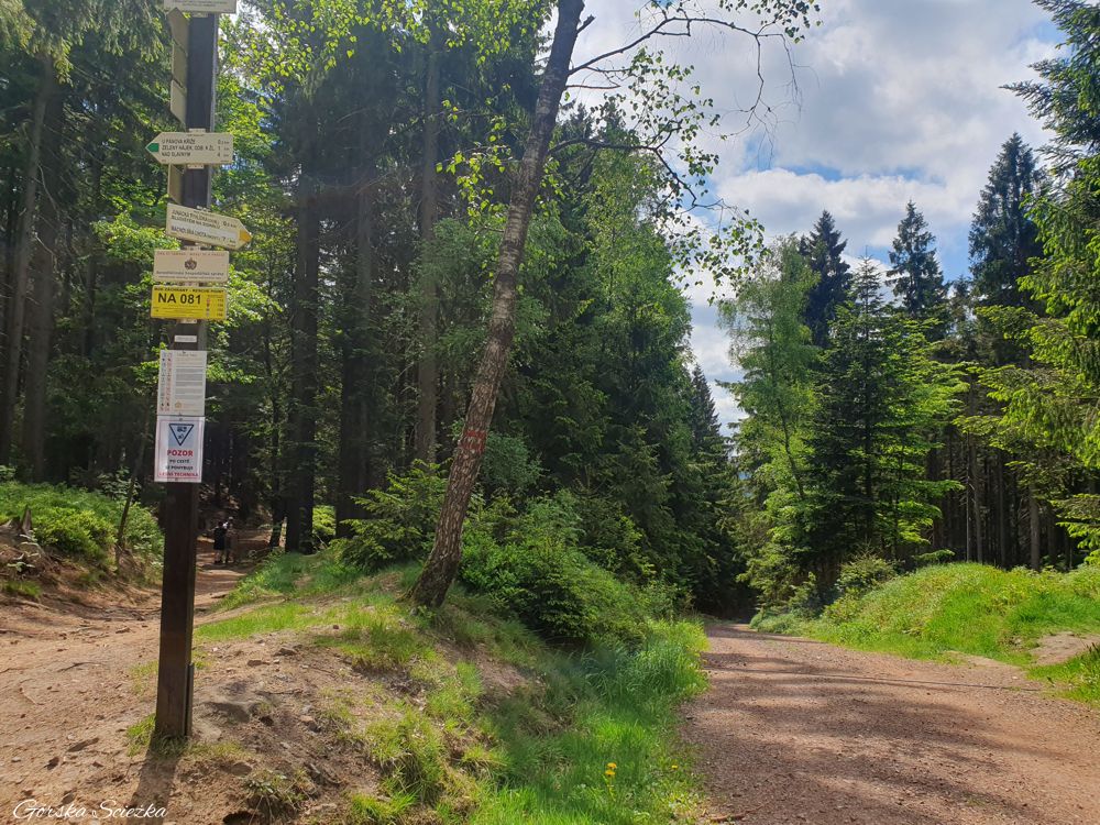 Broumowskie Ściany (Broumovske Steny): Kierunkowskaz na Junacki Punkt widokowy