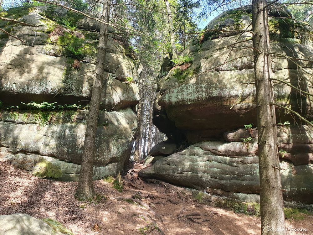 Broumowskie Ściany (Broumovske Steny): Pod Kamienną Bramą