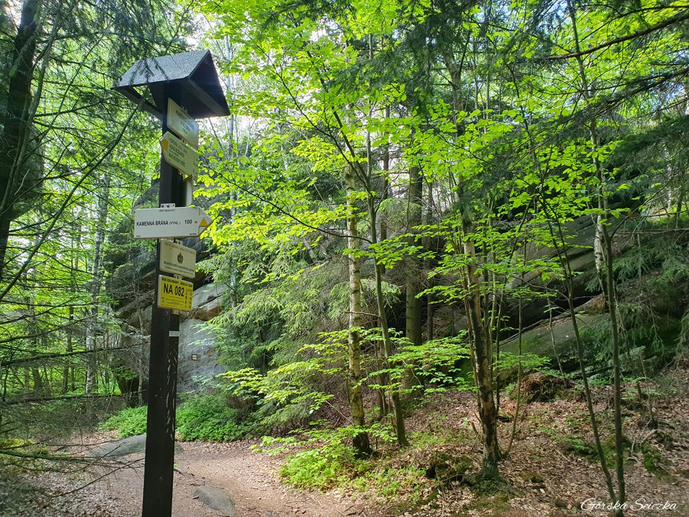 Broumowskie Ściany (Broumovske Steny): Pod Kamienną Bramą