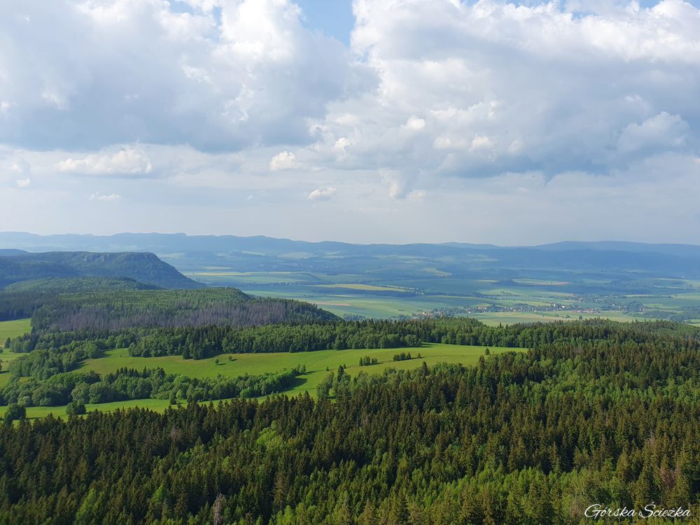 Szczeliniec Wielki: Panorama z tarasu widokowego przy schronisku