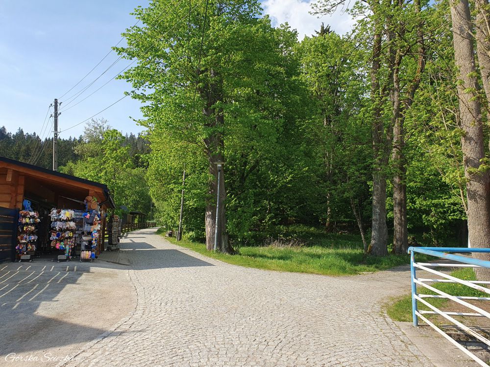 Szczeliniec Wielki: Szlak żółty od parkingu