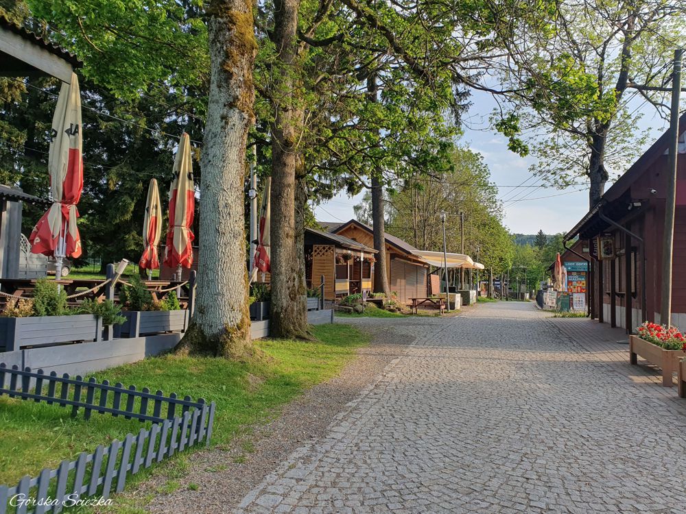 Szczeliniec Wielki: Szlak żółty od parkingu