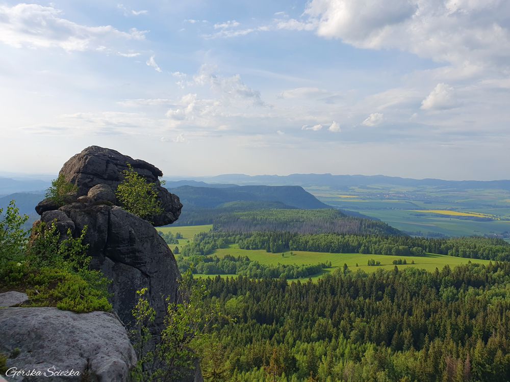 Szczeliniec Wielki: Małopolud