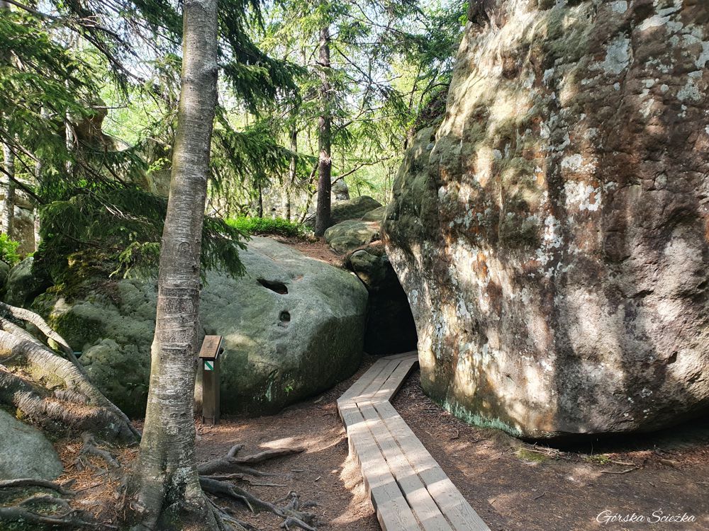 Szczeliniec Wielki: Fragment trasy do schroniska