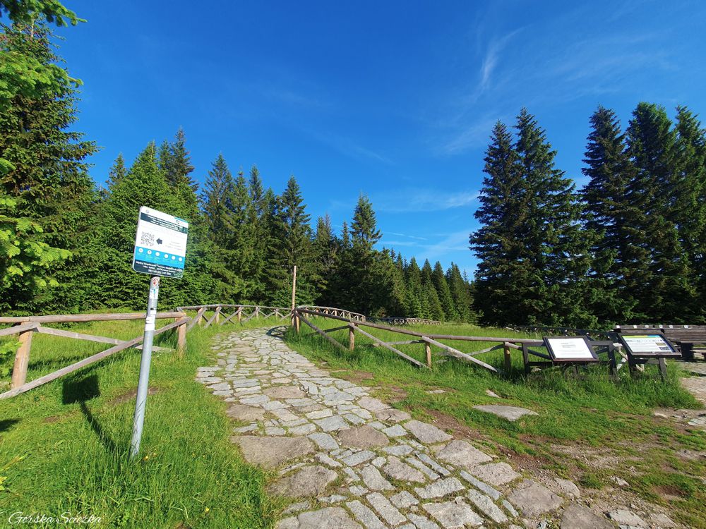Słonecznik Karpacz: Odejście szlaku żółtego na Polanę